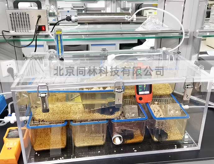 臭氧暴露染毒裝置現(xiàn)場